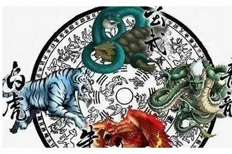 左青龙右白虎前朱雀后玄武在风水中怎么应用啊？