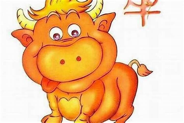十二生肖的汽车风水属牛的适合开什么车？