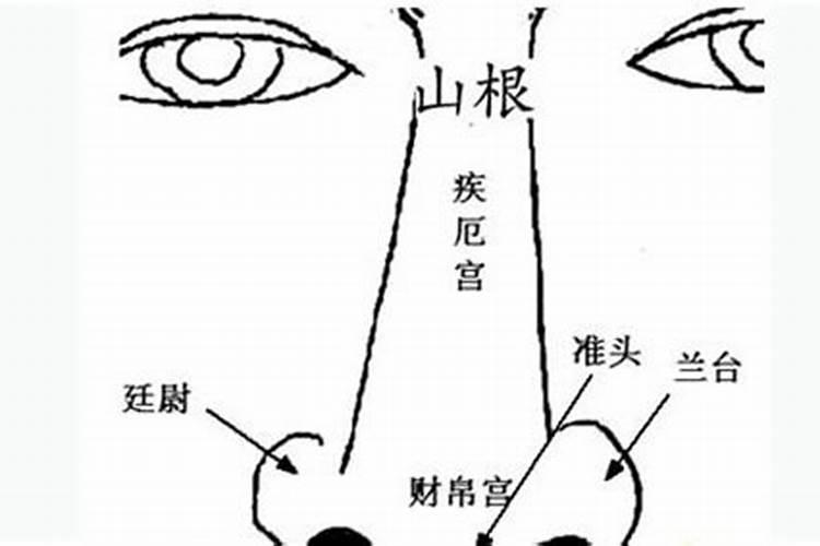 鼻子在哪看风水？
