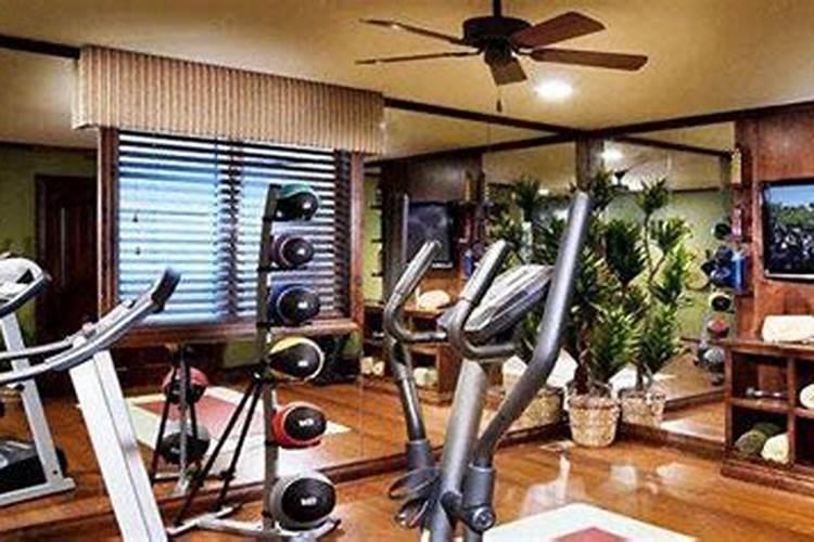 健身场所大多会摆放绿色植物？