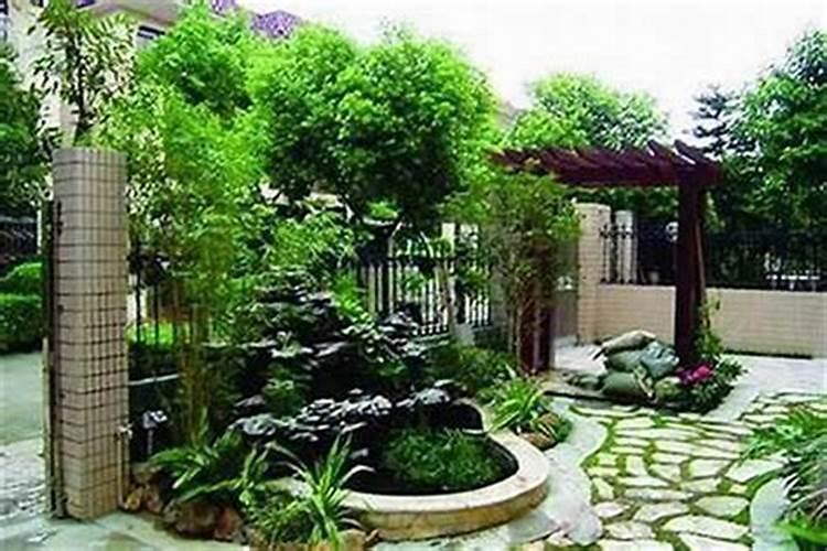 庭院种树有什么讲究别墅庭院植物风水？