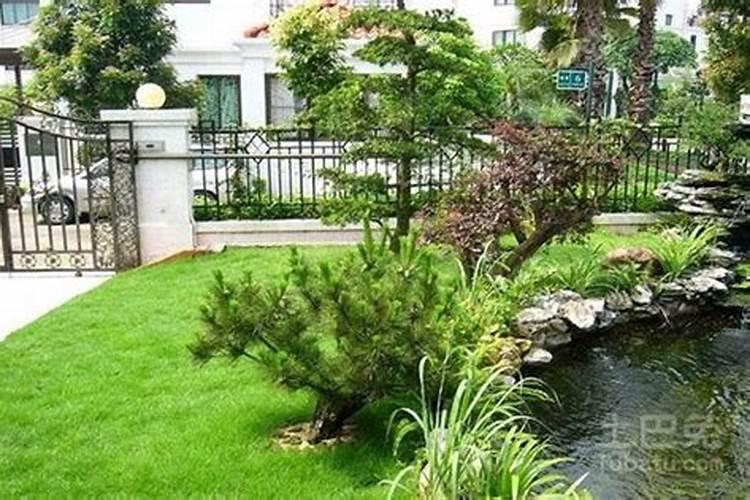 别墅院子绿化风水别墅庭院吉祥的植物