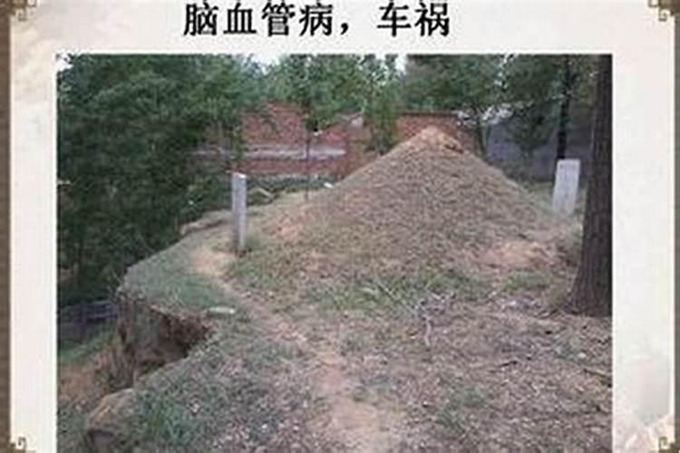 阴宅风水入坟断事口诀