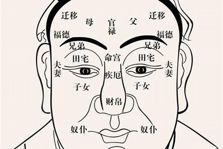 中正骨面相在哪里位置？