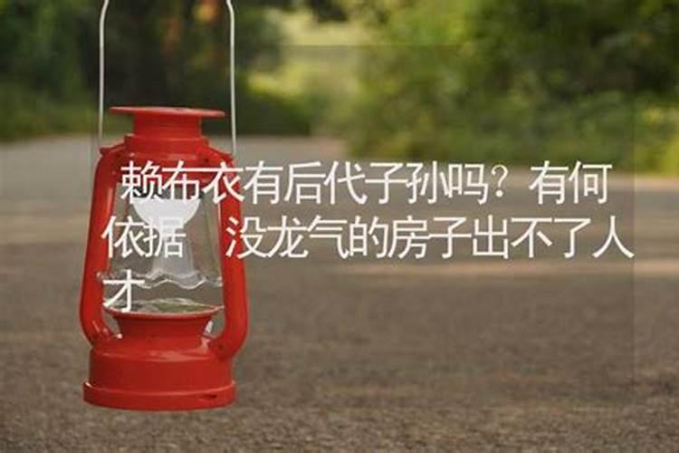 赖布衣有后代子孙吗有何依据？