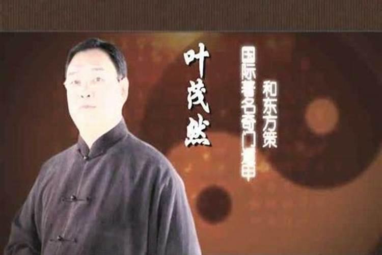 叶茂然人物经历