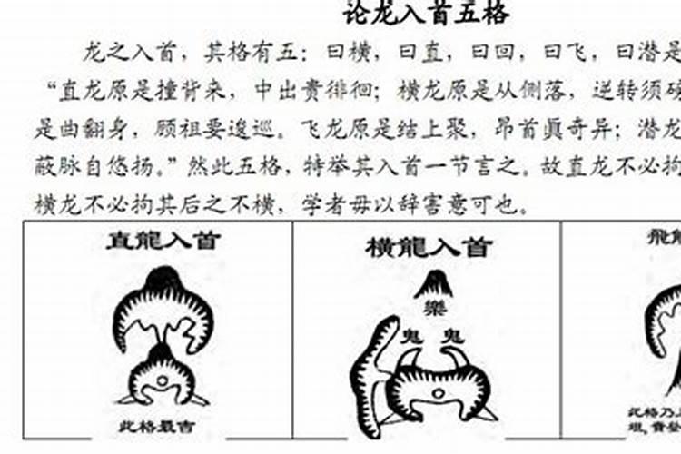 什么叫做来龙和入首龙？