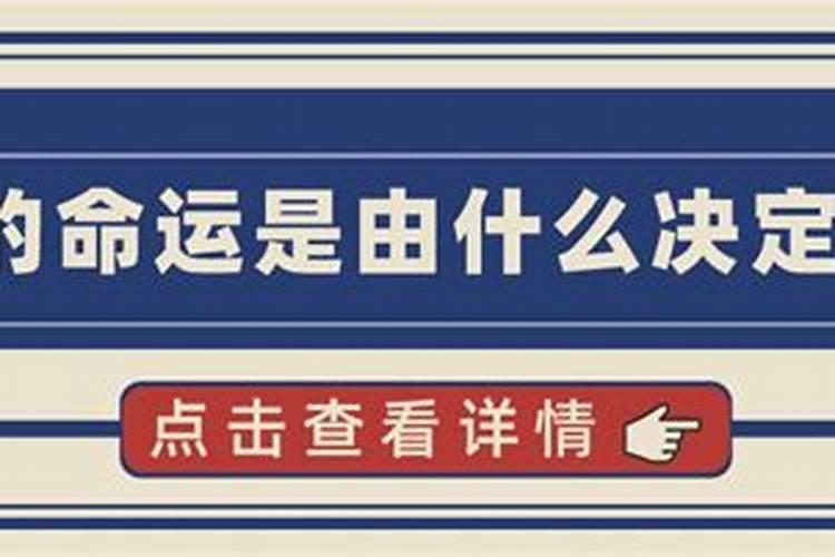 一个人的命运是由什么决定的？