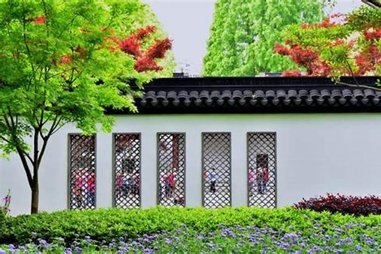 正对大门口种什么对风水好又招财？