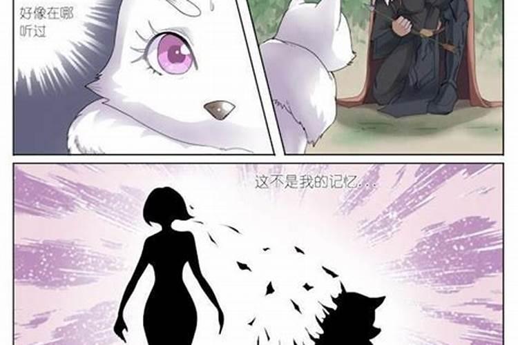 风水师被狐狸附身了吗？