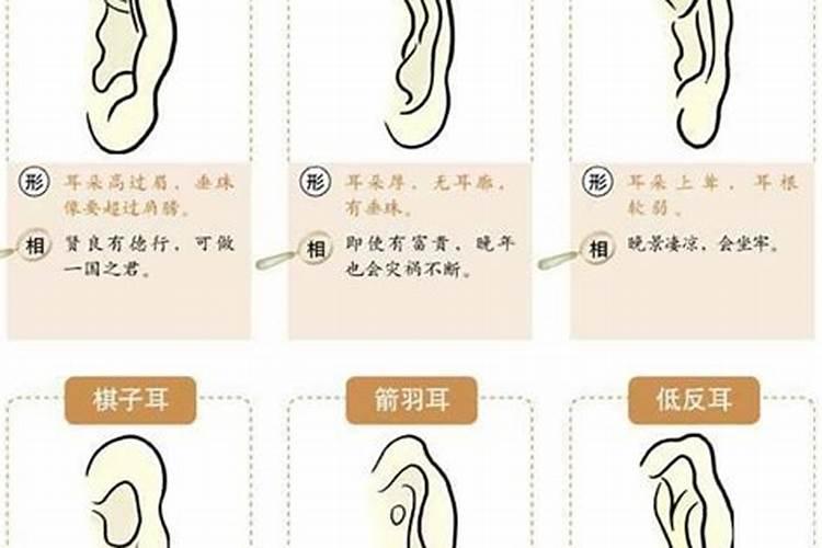 耳朵的五行归属,你属于什么耳型？