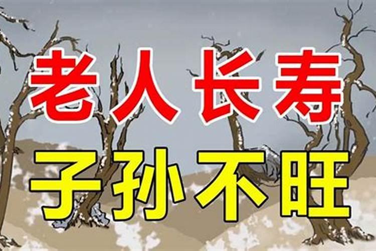 会算命的人为什么子孙不旺？