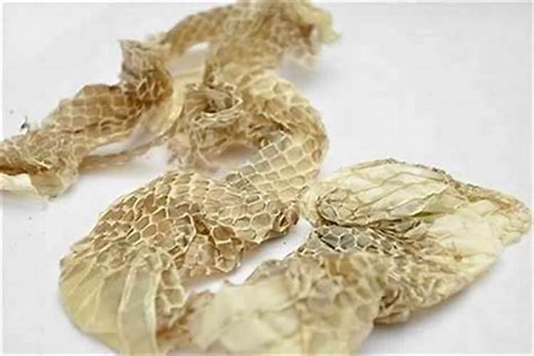 坟墓有蛇意味着什么？