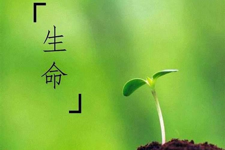 生命的意义是什么怎样才能让自己活得精彩呢？