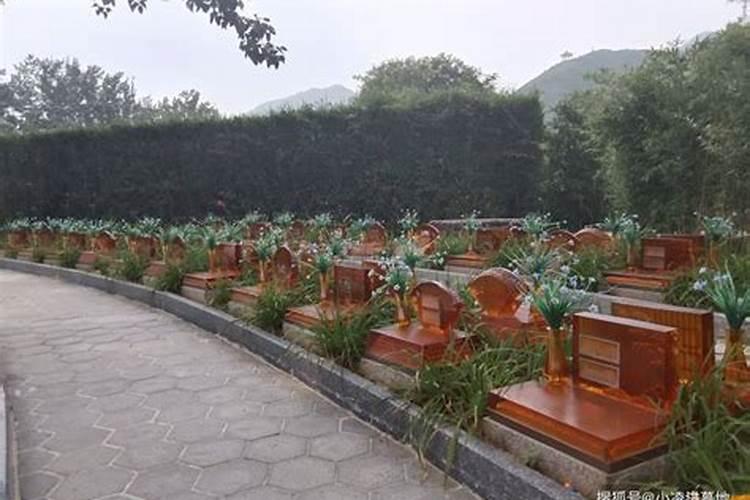 惠州哪里墓地便宜？
