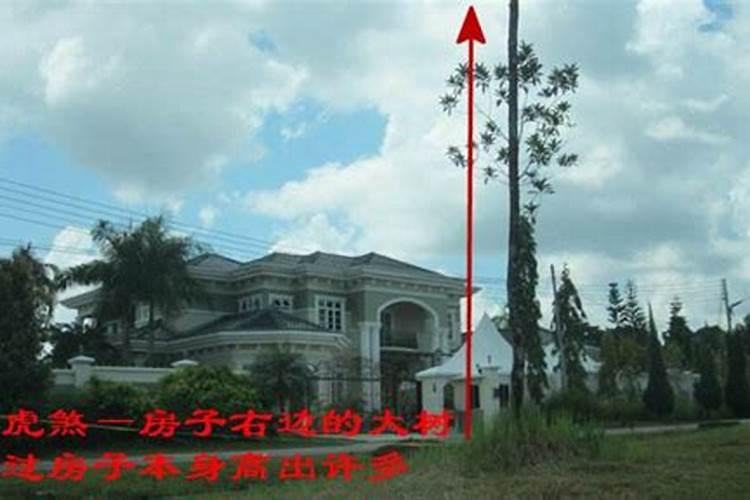 树枝压房顶风水树压房顶有说法吗？