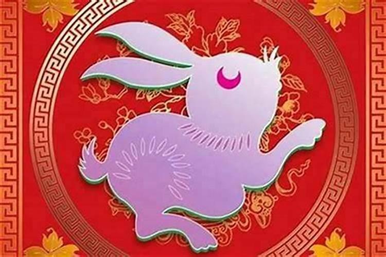 属兔的买14楼好吗,63年属兔人最佳楼层？