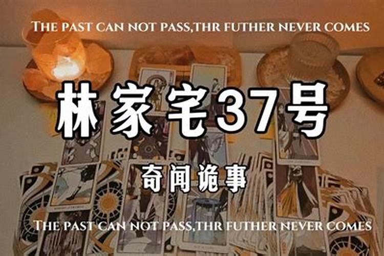 林家宅37号是真的吗？