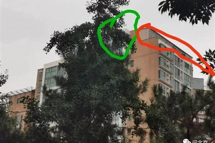 隔壁邻居家房顶上装了好多龙会从风水上来讲对我们不好吗？