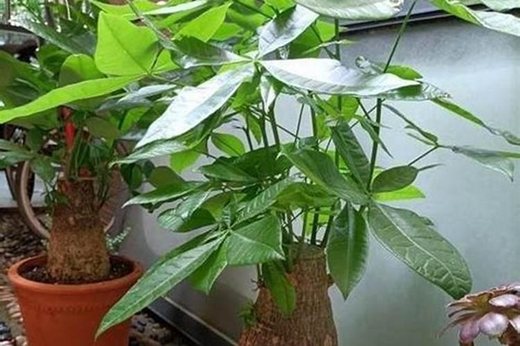 富贵发财与风水有关系