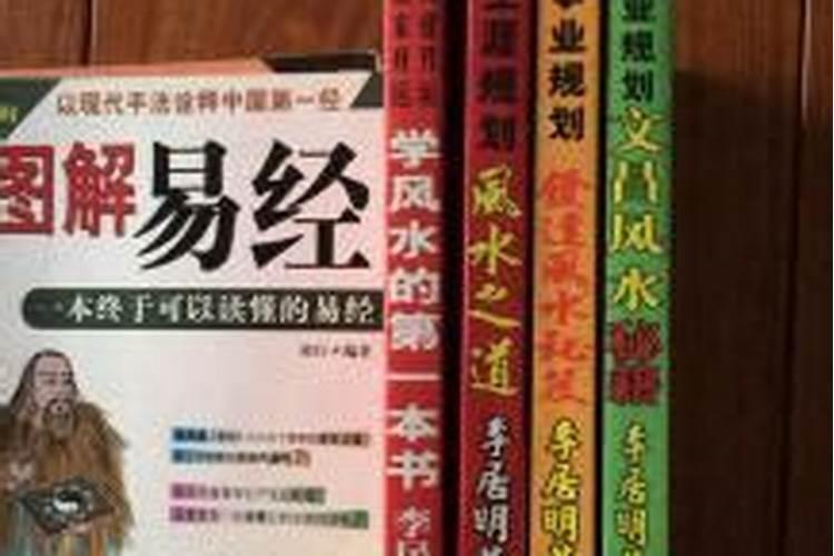 风水术数名师,风水大师李居明简介
