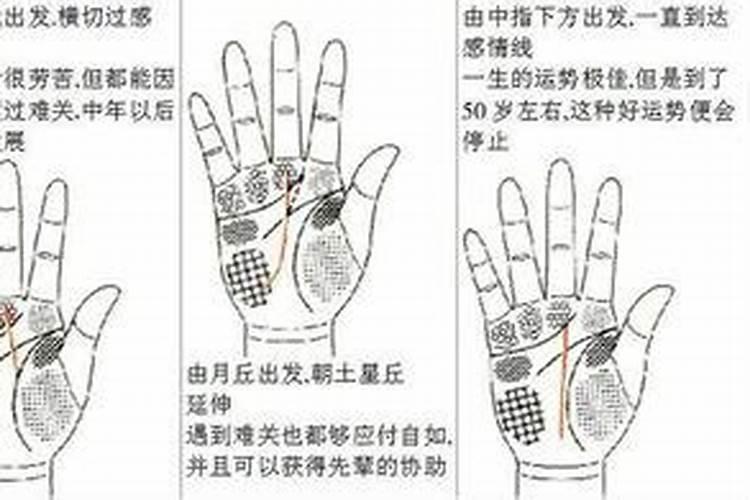 手相算命真的准吗？