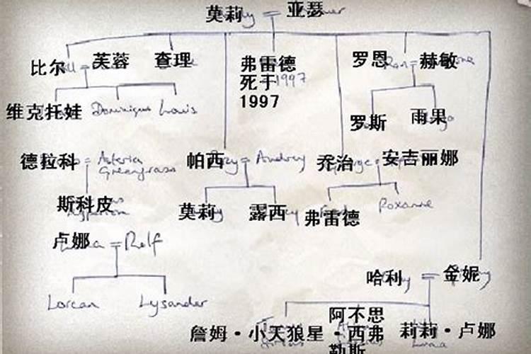 卫斯理的家族背景如何？