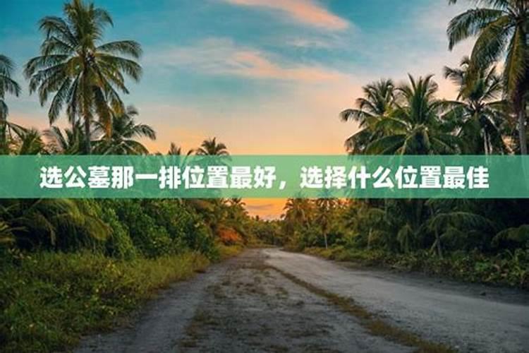 选公墓那一排位置最好