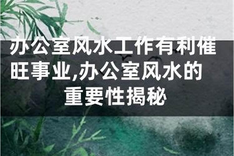 办公室风水工作有利催旺事业