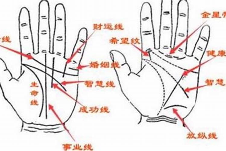 周易,算命,风水,测字,手相,属于道教学还是儒教学？