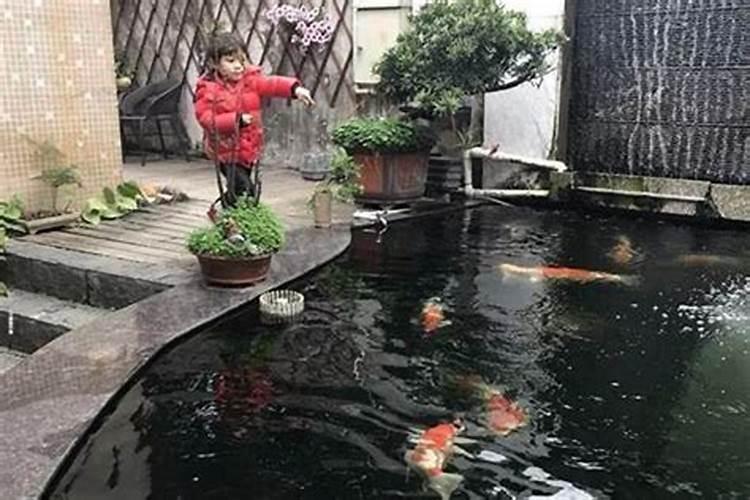 门前养鱼风水讲究鱼池方位是怎样的？