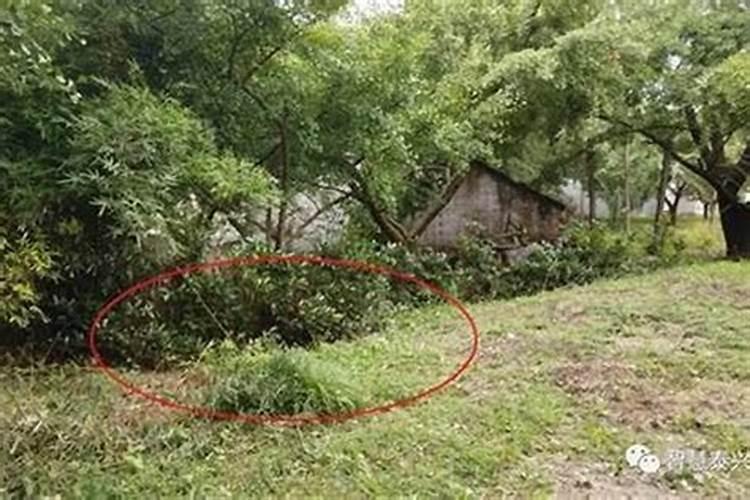 请问大师,如果墓地的向口立错了需要怎么处理啊？