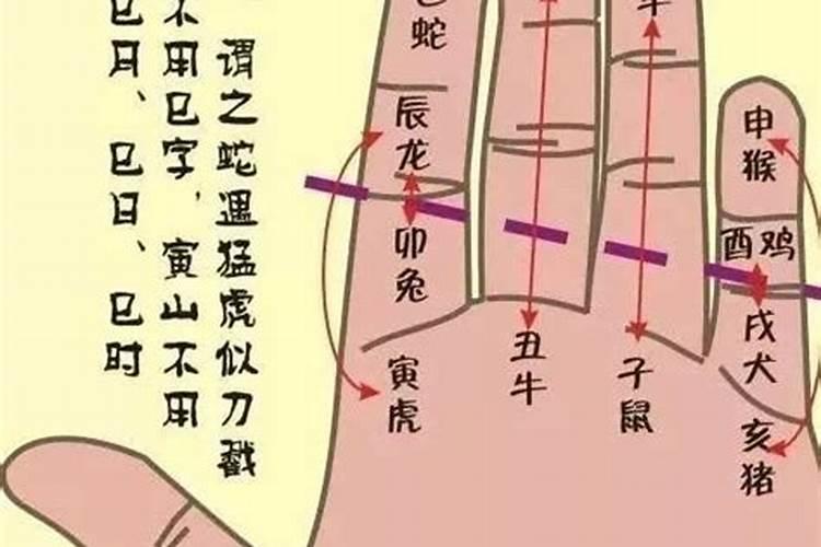 掐指算卦怎么算？