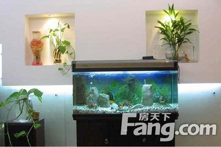 风水鱼缸应如何摆放？