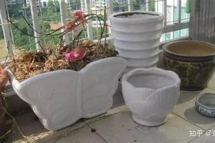 空花盆怎么处理不影响风水？