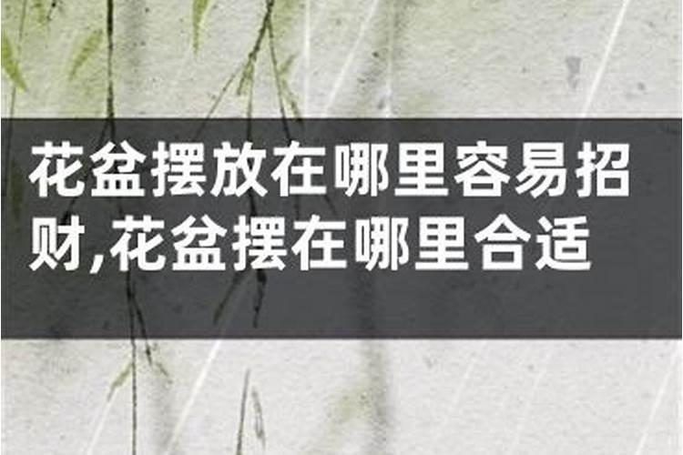 花盆摆放在哪里容易招财？