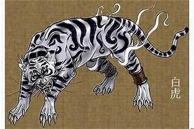 古代人算命犯白虎是什么意思怎么化解？