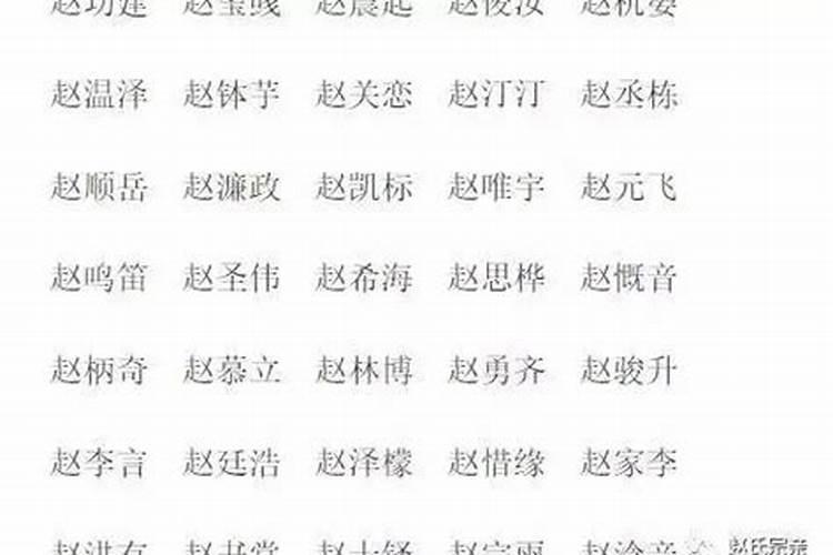 姓赵的男孩两个字名字