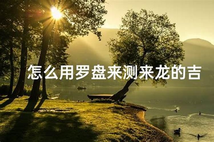 测来龙实地操作方法？