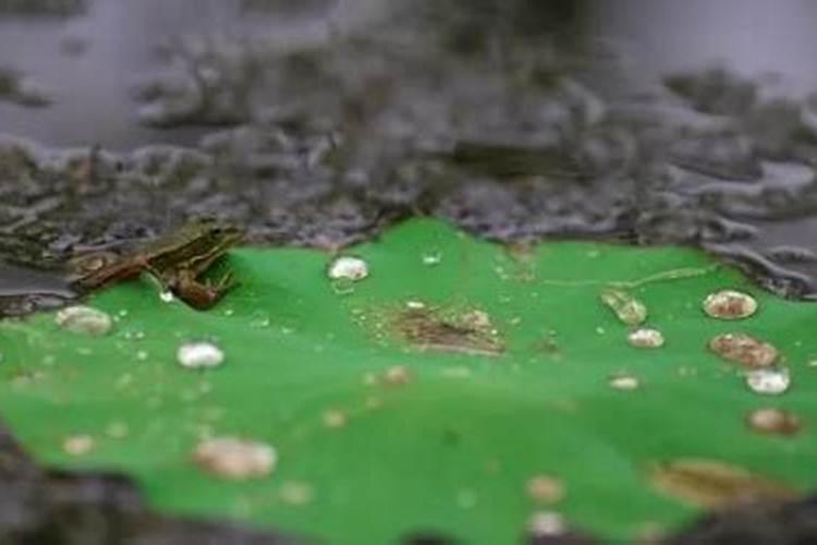 梅雨季节中,这几个地方一定不能轻易去？