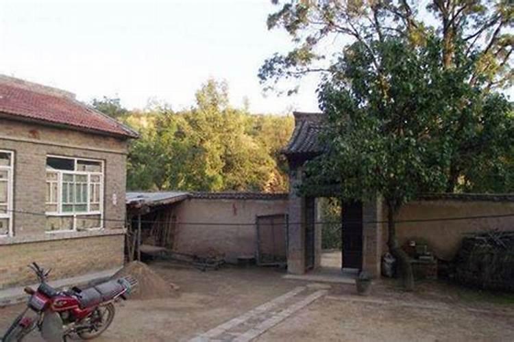 过去有个古训房前不载(),屋后不种(),什么寓意呢？