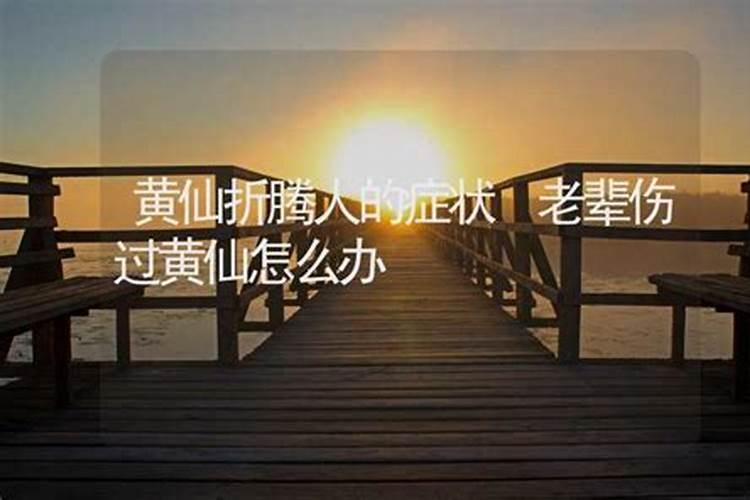 家里有黄仙该怎么办？