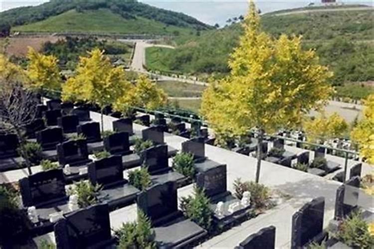 我想在南宁为老人选择一块墓地,请问哪里风水好？