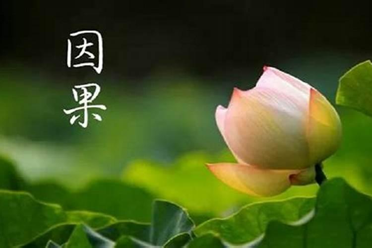 风水师辛苦了怎么说？
