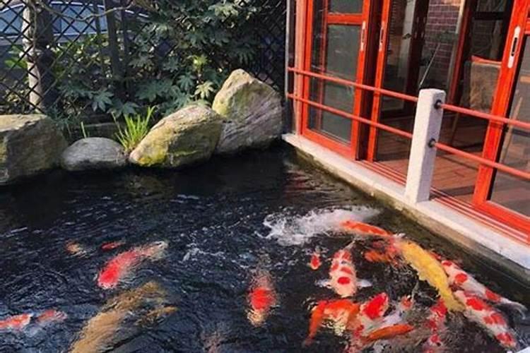 风水和鬼有关系吗,养鱼的风水有什么讲究？