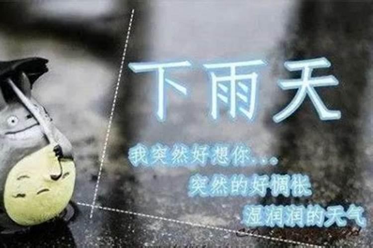早上下雨说说心情优美句子精选164句