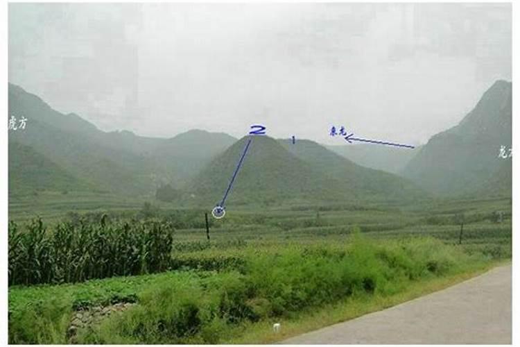 砀山县那里有看风水的大师吗？