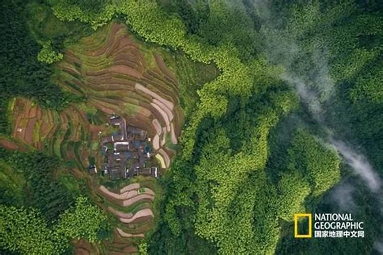 最近想去趟仙居园,这地方周末有人没有风水怎么样？
