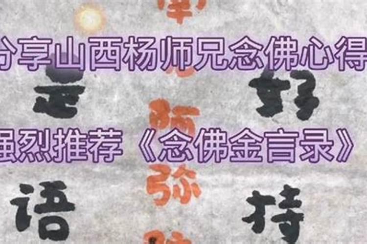 山西杨师兄念佛群怎样加上？