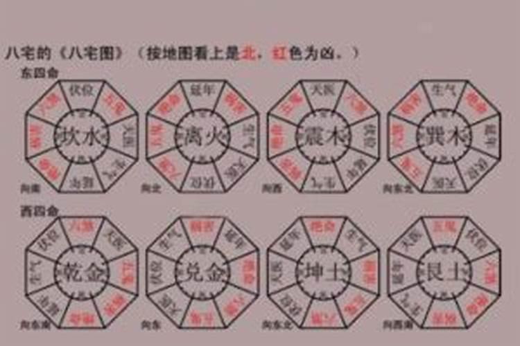 乾位摆放什么生肖最旺？